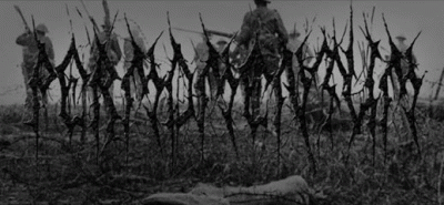 logo Per Momentum logo Per Momentum